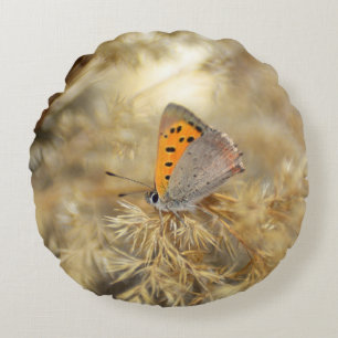 Kleine vuurvlinder rond kussen