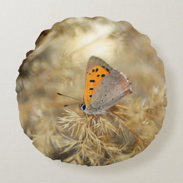 Kleine vuurvlinder rond kussen (Voorkant)