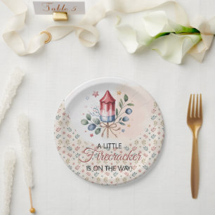 Kleine Vuurwerk Patriottische 4 juli Baby Shower Papieren Bordje