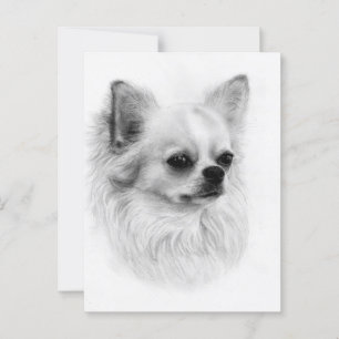 Kleine Waarnemer - Met de Hand Geschilderd Chihuah Briefkaart