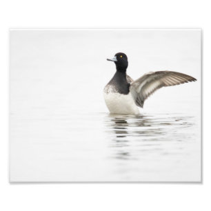 Kleine waarschuwing op eBay Foto Afdruk