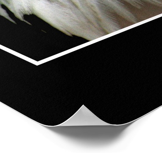 KLEINE WANNEER U ZEGT INFIDEL TE INFITEREN POSTER (Hoek)