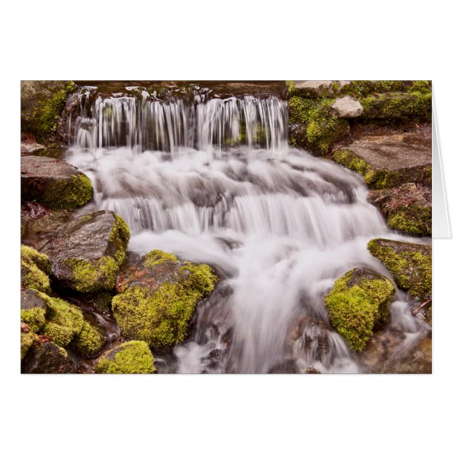 Kleine waterval in Yosemite (Voorkant Horizontaal)