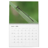 Kleine wilde dieren: Insects Calendar Kalender (Mar 2026)