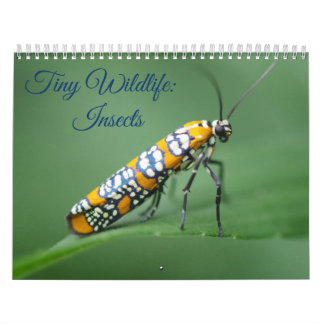 Kleine wilde dieren: Insects Calendar Kalender