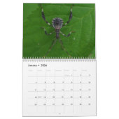 Kleine wilde dieren: Insects Calendar Kalender (Jan 2026)