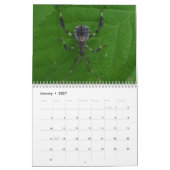 Kleine wilde dieren: Insects Calendar Kalender (Jan 2027)