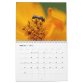 Kleine wilde dieren: Insects Calendar Kalender (Feb 2027)