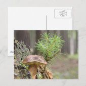 Kleine wilde paddenstoel briefkaart (Voorkant / Achterkant)