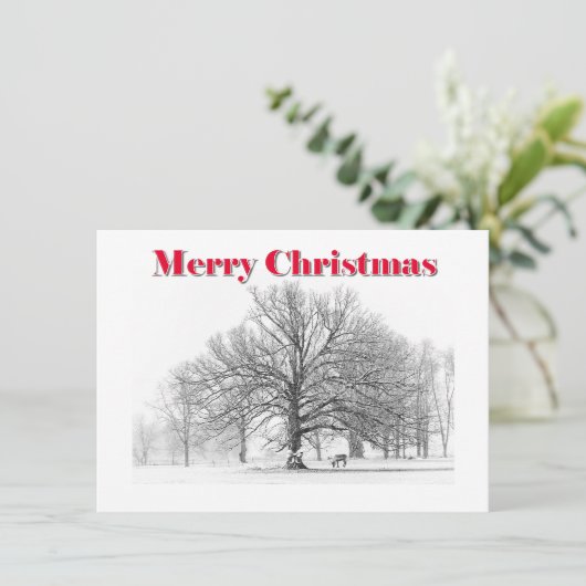 Kleine winterscène Kerst Kaart White Bow (Flat) (Staand voorkant)