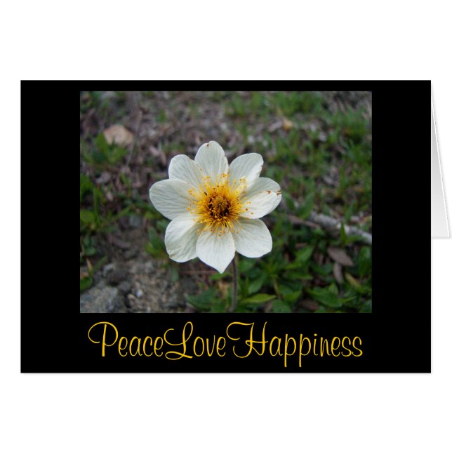 Kleine witte bloem (Voorkant Horizontaal)