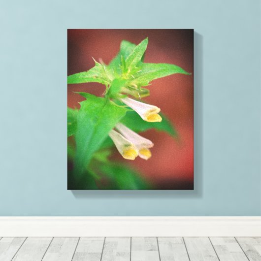 Kleine witte bloem dicht canvas afdruk (Insitu (Houten vloer))
