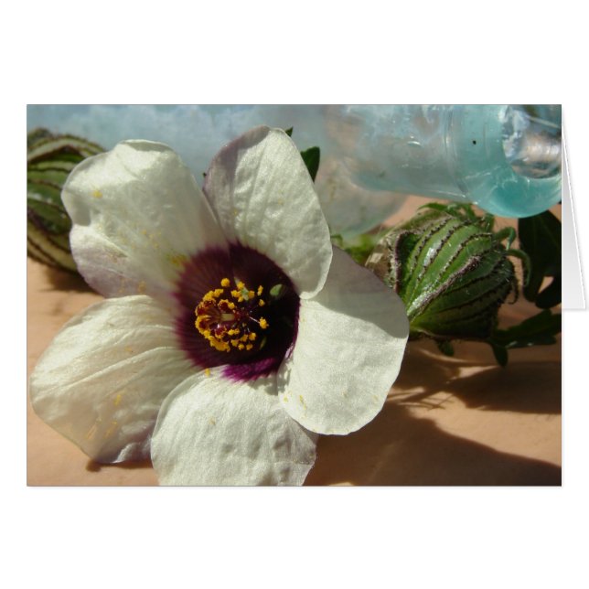 Kleine witte bloem,  fles, pompoen (Voorkant Horizontaal)