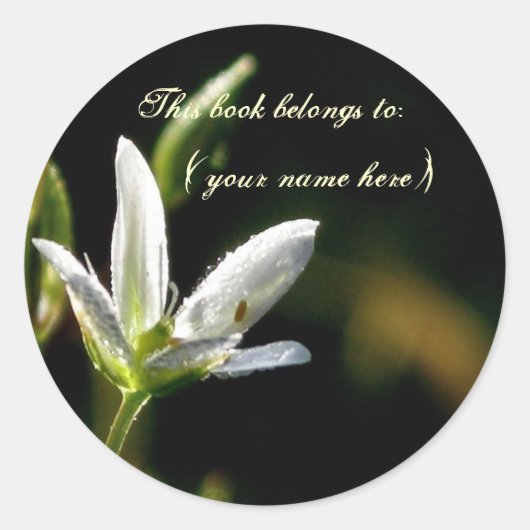 Kleine witte bloem ronde sticker (Voorkant)