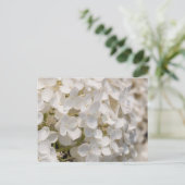 Kleine witte bloemen briefkaart (Staand voorkant)