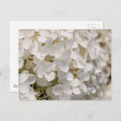 Kleine witte bloemen briefkaart (Voorkant / Achterkant)