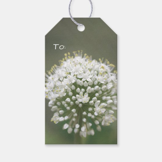 Kleine witte bloemen cadeaulabel (Voorkant)