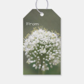 Kleine witte bloemen cadeaulabel (Achterkant)