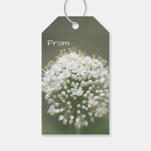 Kleine witte bloemen cadeaulabel (Achterkant)