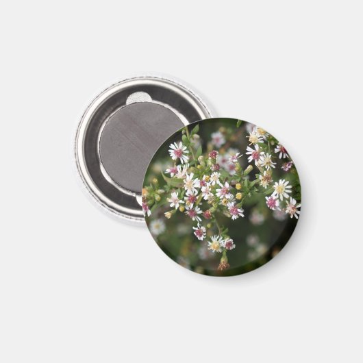 Kleine witte bloemen magneet (Voorkant / Achterkant)