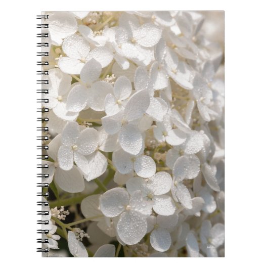 Kleine witte bloemen notitieboek (Voorkant)