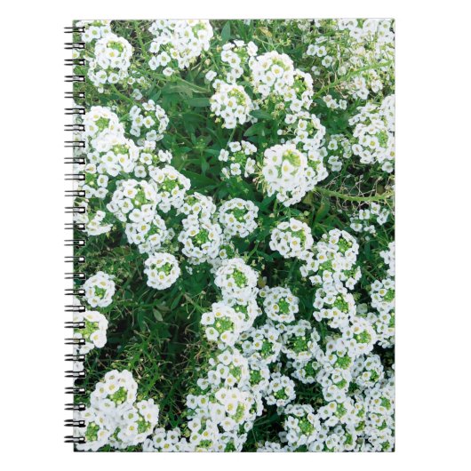 Kleine witte bloemen overdag in het gras notitieboek (Voorkant)