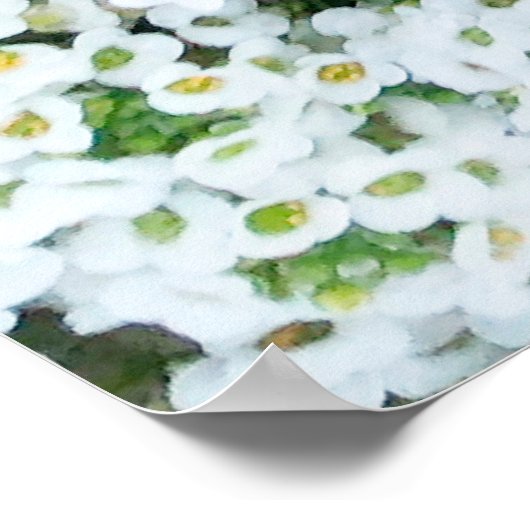 Kleine witte bloemen overdag in het gras poster (Hoek)