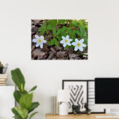 kleine witte bloemen poster (Thuiskantoor)