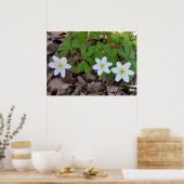 kleine witte bloemen poster (Keuken)