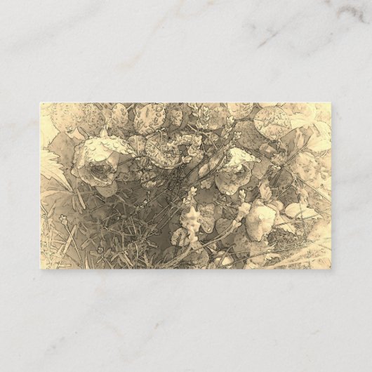 Kleine witte  bloemen van clematis visitekaartje (Achterkant)