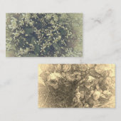 Kleine witte bloemen van clematis visitekaartje (Voorkant / Achterkant)