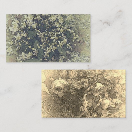 Kleine witte  bloemen van clematis visitekaartje (Voorkant / Achterkant)