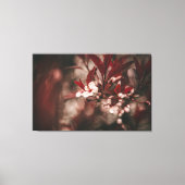 Kleine witte bloesems canvas afdruk (Voorkant)