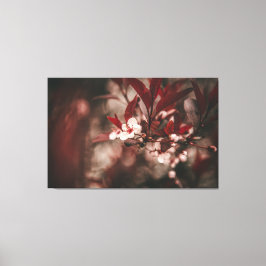 Kleine witte bloesems canvas afdruk