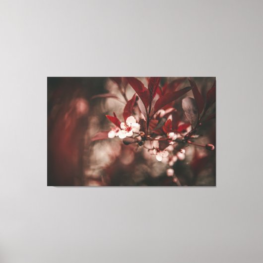 Kleine witte bloesems canvas afdruk (Voorkant)