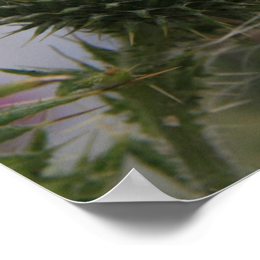 Kleine witte butrerfly op kraan poster (Hoek)