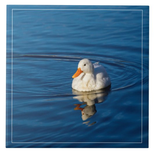 Kleine witte duck Reflecties Tegeltje (Voorkant)