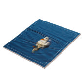Kleine witte duck Reflecties Tegeltje (Zijkant)