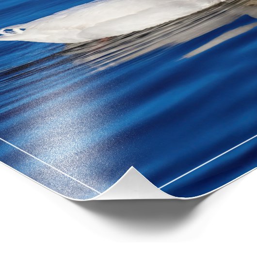 Kleine witte eend in rimpelwater foto afdruk (Hoek)