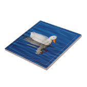 Kleine witte eend in rimpelwater tegeltje (Zijkant)
