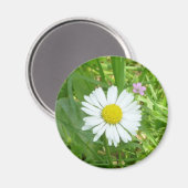  Kleine Witte en Gele Miniatuur Daisy Magneet (Voorkant / Achterkant)