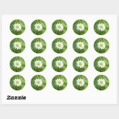 Kleine Witte en Gele Miniatuur Daisy Ronde Sticker (Vel)