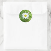 Kleine Witte en Gele Miniatuur Daisy Ronde Sticker (Tas)