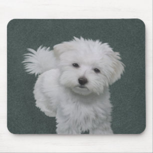 Kleine witte hond huisdier portret muismat