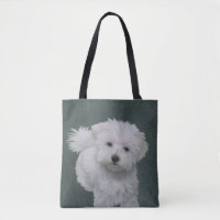 Kleine witte hond huisdier portret Tas