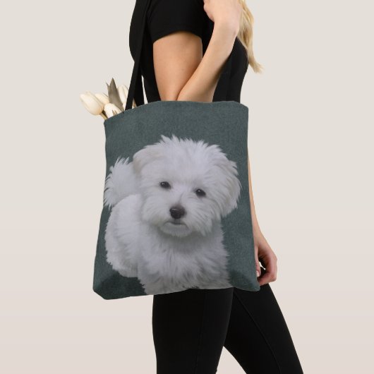 Kleine witte hond huisdier portret Tas (Dichtbij)