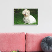 Kleine witte hond op Canvas Afdruk (Insitu (Woonkamer))