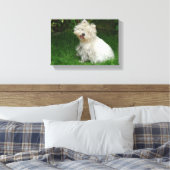 Kleine witte hond op Canvas Afdruk (Insitu (Slaapkamer))