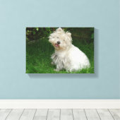 Kleine witte hond op Canvas Afdruk (Insitu (Houten vloer))