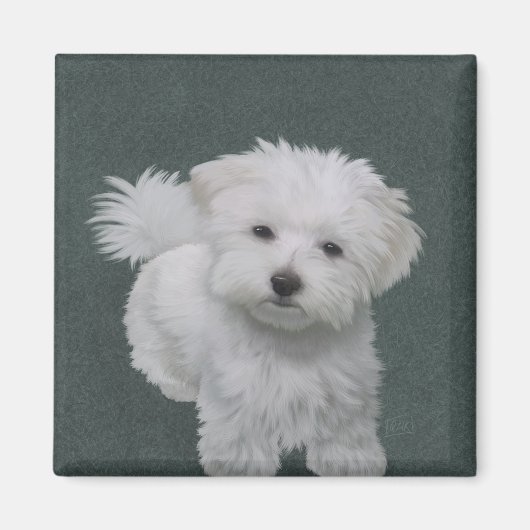 Kleine witte-hondenhuisportret magneet (Voorkant)